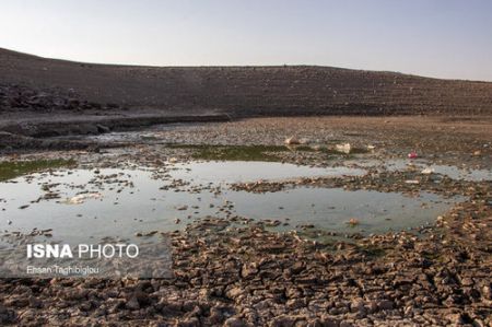  اخبار اجتماعی ,خبرهای اجتماعی,مرگ ماهی‌ها 