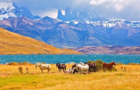 اخبارگوناگون,خبرهای گوناگون ,خیرهکنندهترین تصاویر از طبیعت اخبارگوناگون,خبرهای گوناگون ,خیرهکنندهترین تصاویر از طبیعت