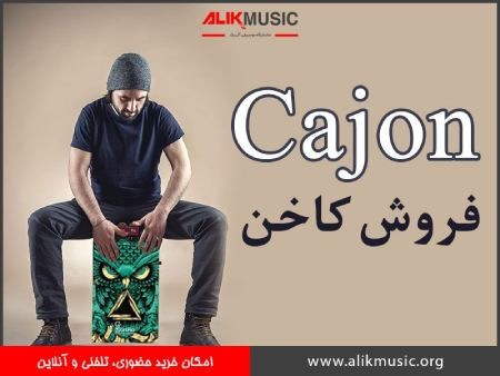 ساز کاخن معرفی ساز های ارزان قیمت,انواع ساز,قیمت انواع سازها