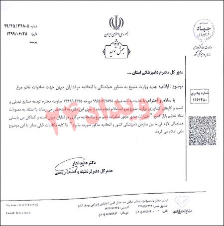 اخبار,اخبار اقتصادی,قیمت تخم مرغ در ایران اخبار,اخبار اقتصادی,قیمت تخم مرغ در ایران