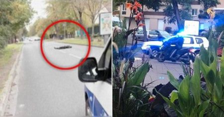 اخبار,اخبار بین الملل,بریدن سر یک معلم در فرانسه اخبار,اخبار بین الملل,بریدن سر یک معلم در فرانسه