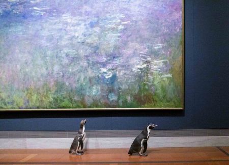 اخبار,اخبار گوناگون,بازدید پنگوئن ها از آثار هنری