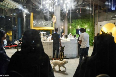 اخبارگوناگون,خبرهای گوناگون ,کافی شاپ اخبارگوناگون,خبرهای گوناگون ,کافی شاپ