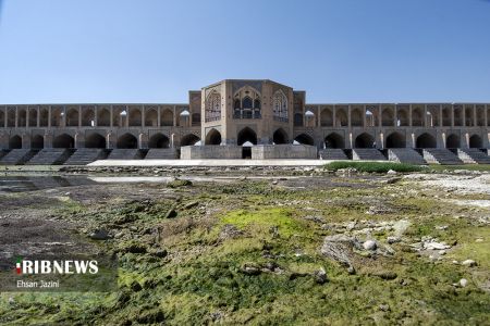 اخباراجتماعی ,خبرهای اجتماعی ,مرگ آبزیان اخبار اجتماعی ,خبرهای اجتماعی,مرگ آبزیان