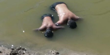 اخبار,اخبار امروز,اخبار جدید اخبار,اخبار امروز,اخبار جدید