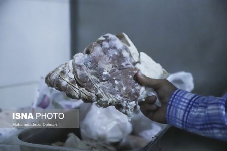 عکس خبری,تعطیلی باغ رستوران های متخلف در شیراز عکس خبری,تعطیلی باغ رستوران های متخلف در شیراز