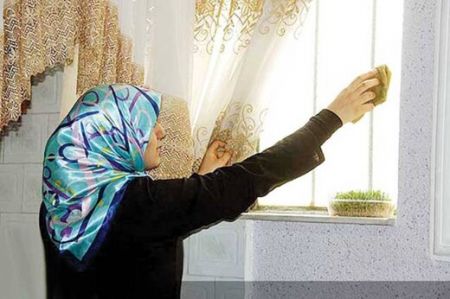  اخبار اجتماعی ,خبرهای اجتماعی, زنان خانه‌دار