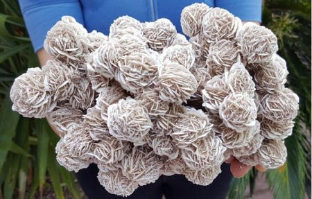 اخبارگوناگون,خبرهای گوناگون ,مکانهای فوق العاده اخبارگوناگون,خبرهای گوناگون ,مکانهای فوق العاده