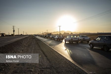  اخبار اجتماعی ,خبرهای اجتماعی, گل زعفران