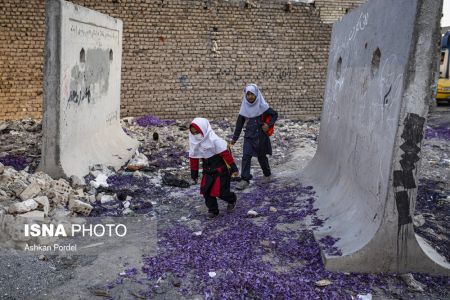  اخبار اجتماعی ,خبرهای اجتماعی, گل زعفران
