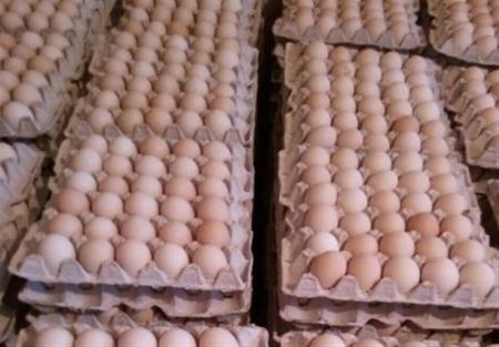اخباراقتصادی ,خبرهای اقتصادی , شانه تخممرغ اخباراقتصادی ,خبرهای اقتصادی, شانه تخممرغ