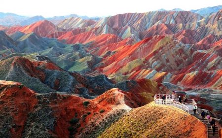 اخبارگوناگون,خبرهای گوناگون ,عجیبترین پدیدهها اخبارگوناگون,خبرهای گوناگون ,عجیبترین پدیدهها