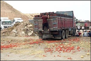 [تصویر:  9908-81t3444.jpg]