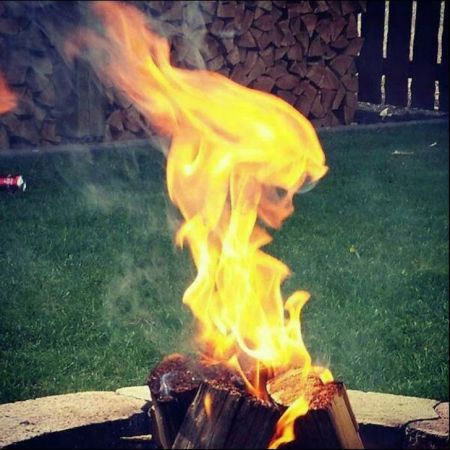 اخبارگوناگون,خبرهای گوناگون , تصاویری عجیب اخبارگوناگون,خبرهای گوناگون , تصاویری عجیب