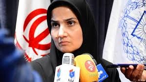 اخبارسیاسی ,خبرهای سیاسی , معاون حقوقی روحانی اخبارسیاسی ,خبرهای سیاسی , معاون حقوقی روحانی