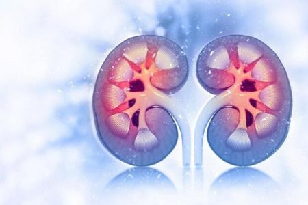 اخبار پزشکی ,خبرهای پزشکی ,کلیه اخبار پزشکی ,خبرهای پزشکی,کلیه