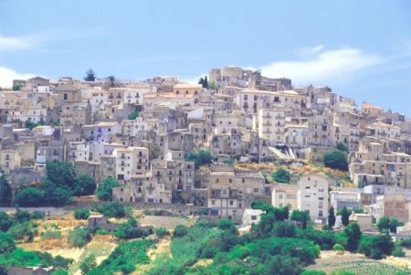 اخبارگوناگون,خبرهای گوناگون ,خانه همبرگر اخبارگوناگون,خبرهای گوناگون ,خانه همبرگر