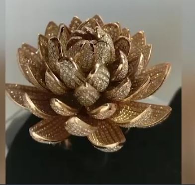اخبارگوناگون,خبرهای گوناگون ,انگشتری عجیب اخبارگوناگون,خبرهای گوناگون ,انگشتری عجیب