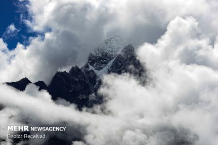 اخبار علمی,خبرهای علمی ,میکروپلاستیک ها اخبار علمی ,خبرهای علمی,میکروپلاستیک ها