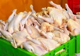 اخباراقتصادی ,خبرهای اقتصادی , مرغ اخباراقتصادی ,خبرهای اقتصادی, مرغ