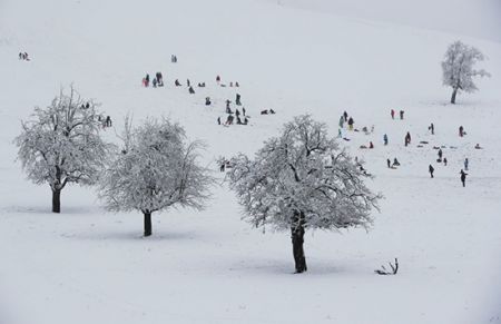  اخبارگوناگون,خبرهای گوناگون ,اولین برف زمستانی