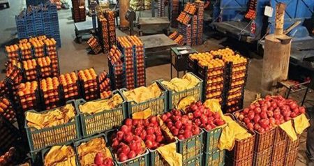 اخباراقتصادی ,خبرهای اقتصادی ,میوه و صیفیجات اخباراقتصادی ,خبرهای اقتصادی,میوه و صیفیجات