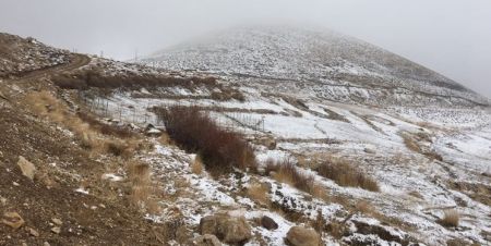  اخبار علمی ,خبرهای علمی, میکروپلاستیک