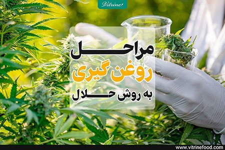 مراحل روغن گیری فرآیند روغنکشی,خرید دستگاه روغن گیری