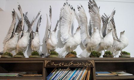 اخبارگوناگون,خبرهای گوناگون , پرنده تاکسیدرمی اخبارگوناگون,خبرهای گوناگون , پرنده تاکسیدرمی