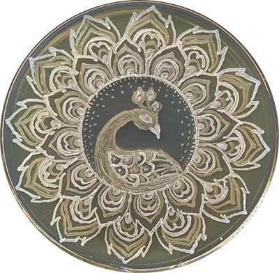 اخبارگوناگون,خبرهای گوناگون ,خلق آثار هنری اخبارگوناگون,خبرهای گوناگون ,خلق آثار هنری
