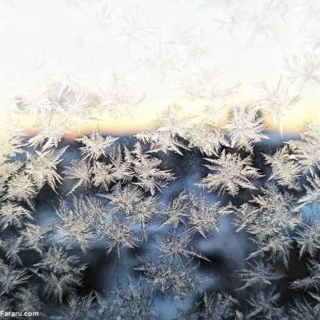  اخبارگوناگون,خبرهای گوناگون , سرمای هوا در روسیه