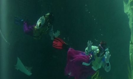 اخبارگوناگون,خبرهای گوناگون , غواصی با لباس هانبوک اخبارگوناگون,خبرهای گوناگون , غواصی با لباس هانبوک