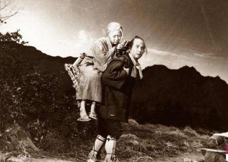 اخبارگوناگون,خبرهای گوناگون ,جنگل خودکشی اخبارگوناگون,خبرهای گوناگون ,جنگل خودکشی