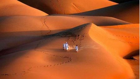 اخبارگوناگون,خبرهای گوناگون , آموزش شاهینهای شکاری اخبارگوناگون,خبرهای گوناگون , آموزش شاهینهای شکاری
