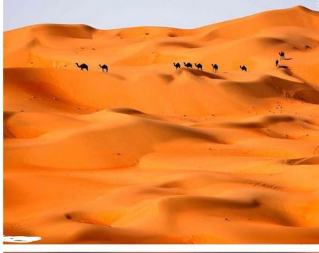 اخبارگوناگون,خبرهای گوناگون , آموزش شاهینهای شکاری اخبارگوناگون,خبرهای گوناگون , آموزش شاهینهای شکاری