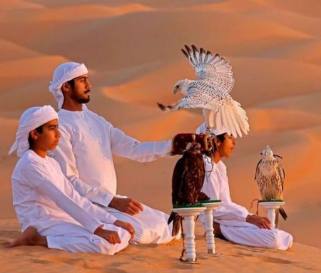 اخبارگوناگون,خبرهای گوناگون , آموزش شاهینهای شکاری اخبارگوناگون,خبرهای گوناگون , آموزش شاهینهای شکاری