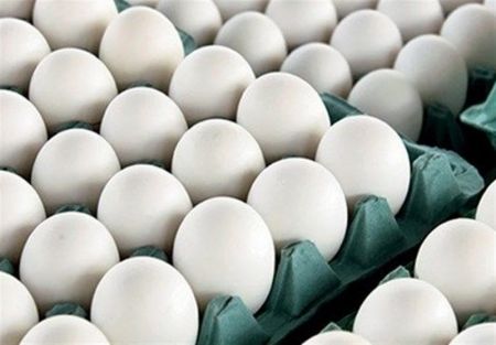 اخباراقتصادی ,خبرهای اقتصادی , تخممرغ اخباراقتصادی ,خبرهای اقتصادی, تخممرغ