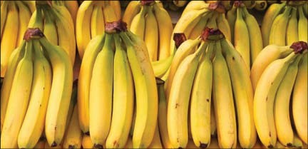 اخباراقتصادی ,خبرهای اقتصادی , موز اخباراقتصادی ,خبرهای اقتصادی, موز