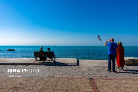 اخبارگوناگون,خبرهای گوناگون ,پرواز شالوها اخبارگوناگون,خبرهای گوناگون ,پرواز شالوها