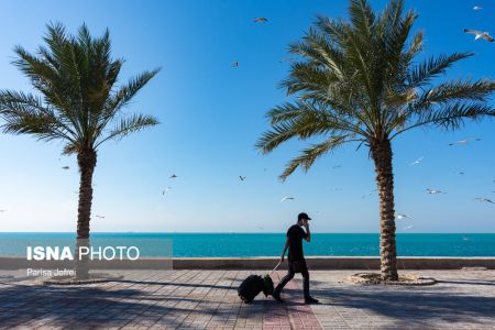اخبارگوناگون,خبرهای گوناگون ,پرواز شالوها اخبارگوناگون,خبرهای گوناگون ,پرواز شالوها