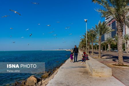 اخبارگوناگون,خبرهای گوناگون ,پرواز شالوها اخبارگوناگون,خبرهای گوناگون ,پرواز شالوها