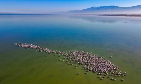 اخبارگوناگون,خبرهای گوناگون ,تالاب بین المللی میانکاله اخبارگوناگون,خبرهای گوناگون ,تالاب بین المللی میانکاله