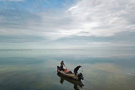 اخبارگوناگون,خبرهای گوناگون ,تالاب بین المللی میانکاله اخبارگوناگون,خبرهای گوناگون ,تالاب بین المللی میانکاله