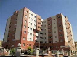 اخباراقتصادی ,خبرهای اقتصادی ,صدیف بدری اخباراقتصادی ,خبرهای اقتصادی,صدیف بدری