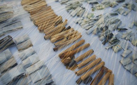 اخباراجتماعی ,خبرهای اجتماعی ,کشفیات پلیس اخبار اجتماعی ,خبرهای اجتماعی,کشفیات پلیس