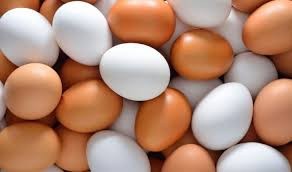 اخباراقتصادی ,خبرهای اقتصادی ,تخممرغ اخباراقتصادی ,خبرهای اقتصادی,تخممرغ