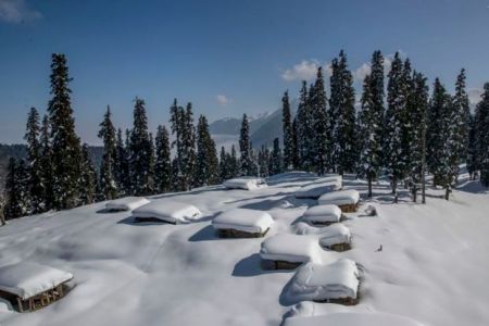 اخبارگوناگون,خبرهای گوناگون ,بهشتِ کشمیر اخبارگوناگون,خبرهای گوناگون ,بهشتِ کشمیر