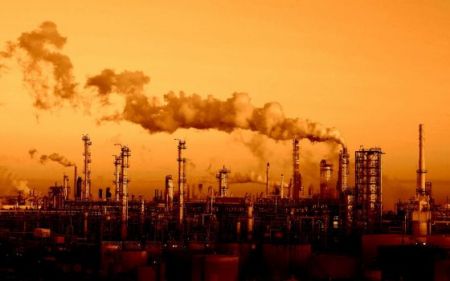 اخبار,اخبار پزشکی,کاهش خطر مسمومیت با مازوت اخبار,اخبار پزشکی,کاهش خطر مسمومیت با مازوت