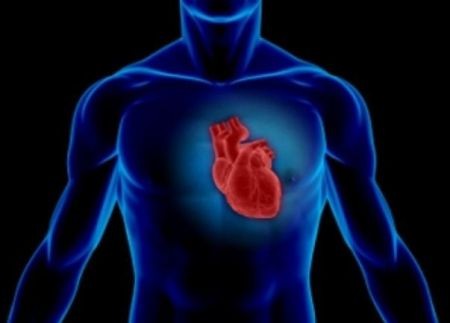 اخبار پزشکی ,خبرهای پزشکی , اخبار پزشکی ,خبرهای پزشکی,