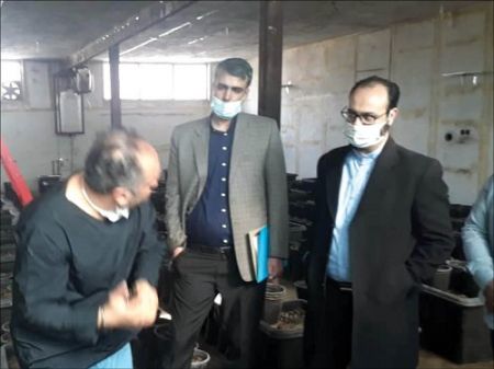 اخبارحوادث,خبرهای حوادث ,حوادث روز اخبار حوادث,خبرهای حوادث ,حوادث روز